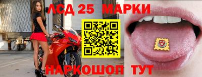 PSILOCYBIN Гагарин