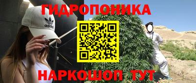 ПСИЛОЦИБИНОВЫЕ ГРИБЫ Гатчина
