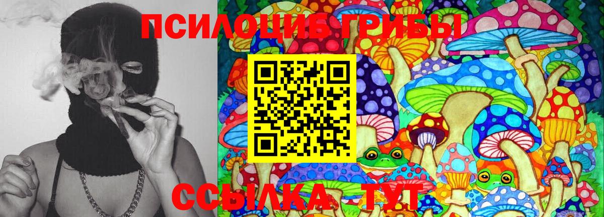 Муром  Галлюциногенные грибы GOLDEN TEACHER  Галлюциногенные грибы MAGIC MUSHROOMS  Вход с VPN 